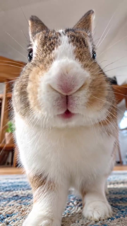 Up Close and Personal